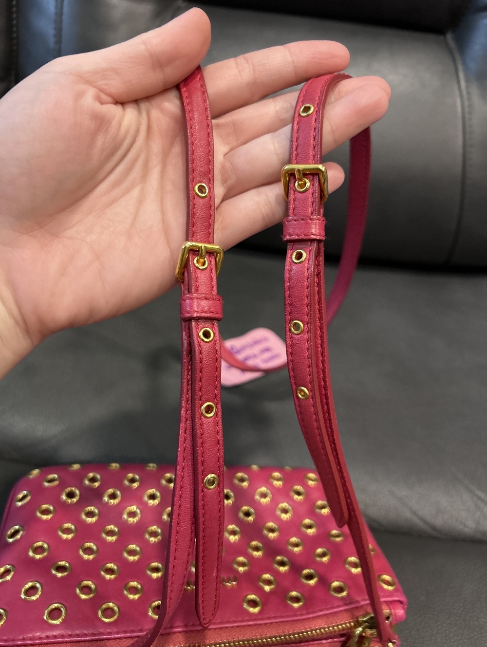 MiuMiu Crossbody - Picture 3 of 16